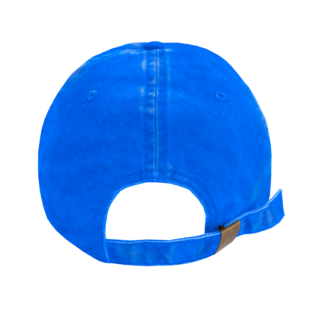 Twenty Twenty Circle Logo Dad Hat